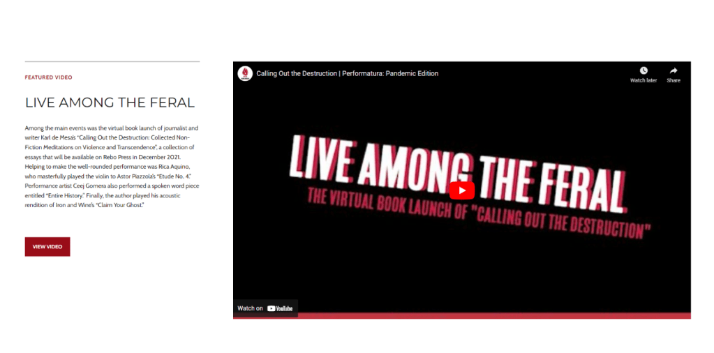 author website rich media in book feature